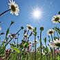„Ein kalter Sommer ist praktisch unmöglich“